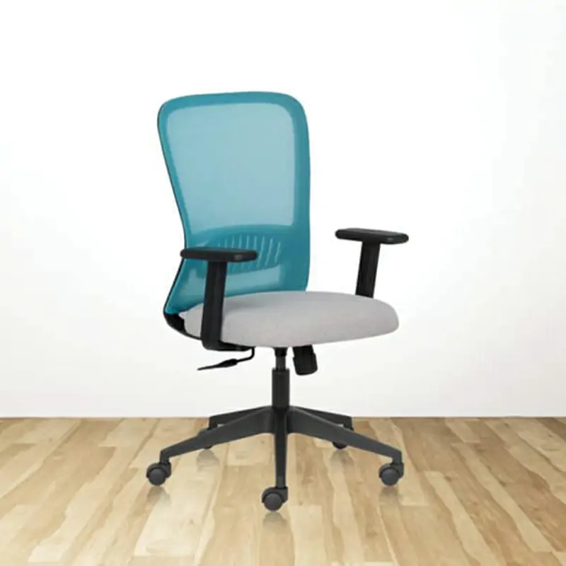 Air Ergonomic low back mesh chair with fixed arms