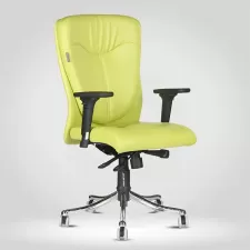 High Back Revolving Chair in Pale Green