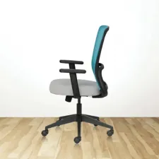 Air Ergonomic low back mesh chair with fixed arms