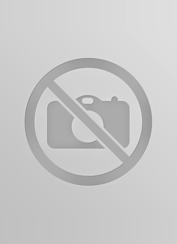 Solid Wood Queen Size Hydraulic Storage Bed in Walnut Finish